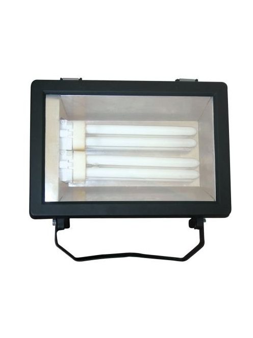 LANDLITE FL-226B, 2X26W G24q-3, reflector (CFLs included), black.  