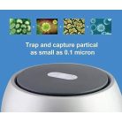 UVL-2020 UVC / Anion Air Germicidal Lamp + Mood Light 