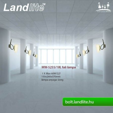 LANDLITE MW-5255/1W, fali lámpa