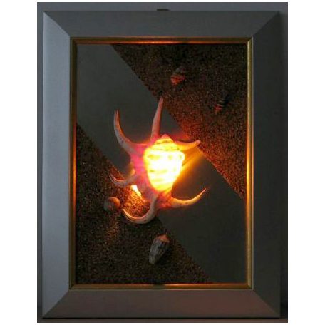 LANDLITE SHELL LIGHT-003, 1xG9 230V 25W, shell lamp