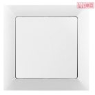 ANCO Premium change over switch, with frame
