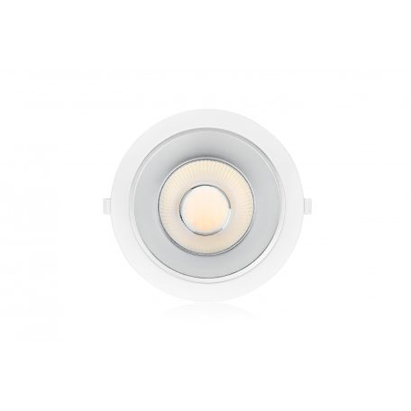 D2205-CM-TW,  Legend, 35W, Tri-White 3000/4000/6000K,  LED Down Light