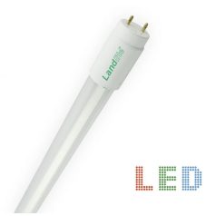 GU13 (T8 luminaire) Socket