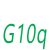 G10q Socket